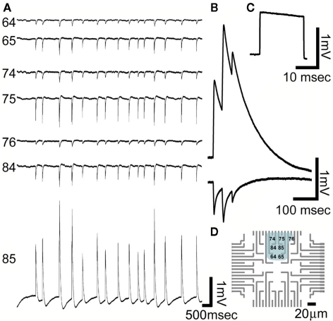 Figure 9