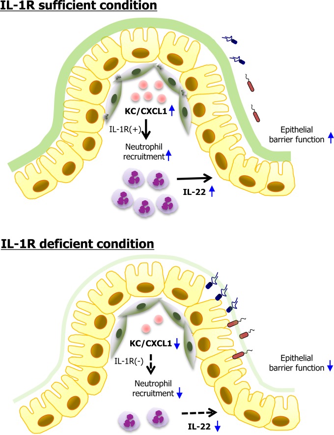 FIG 6