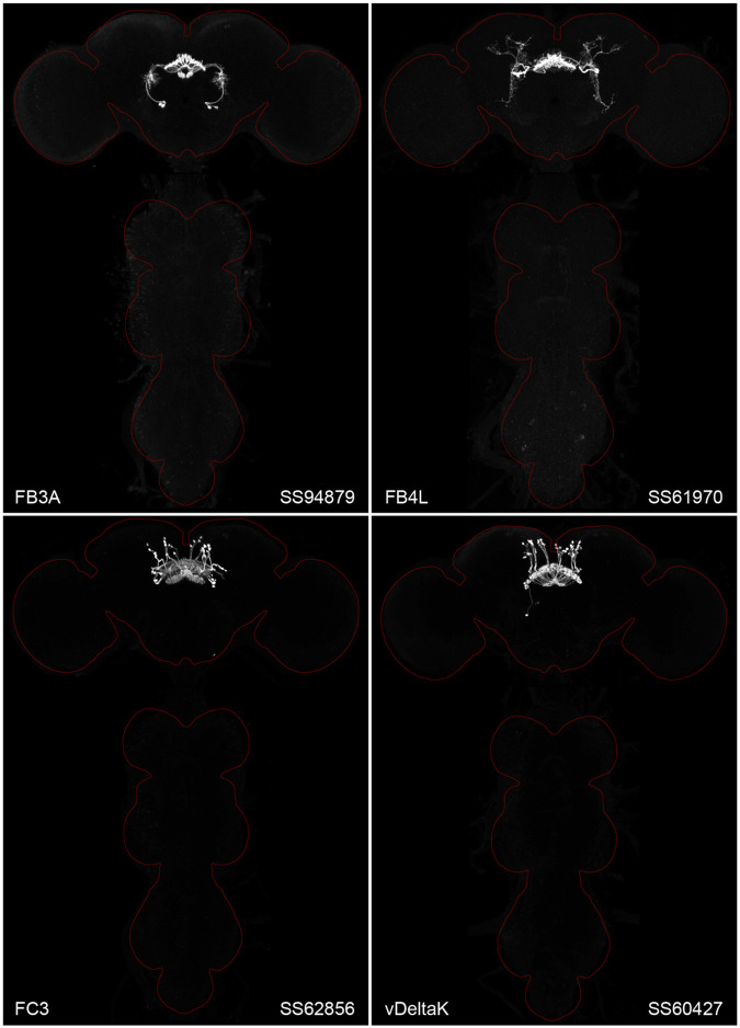 Figure 2.