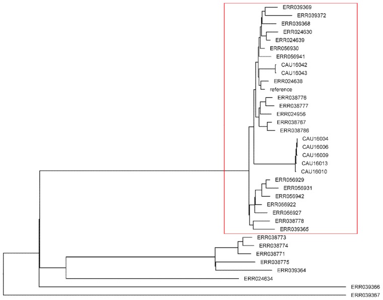 Figure 5