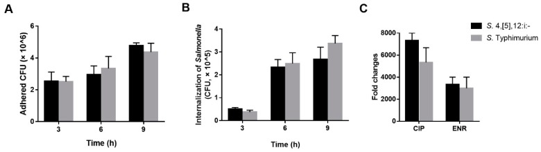 Figure 4