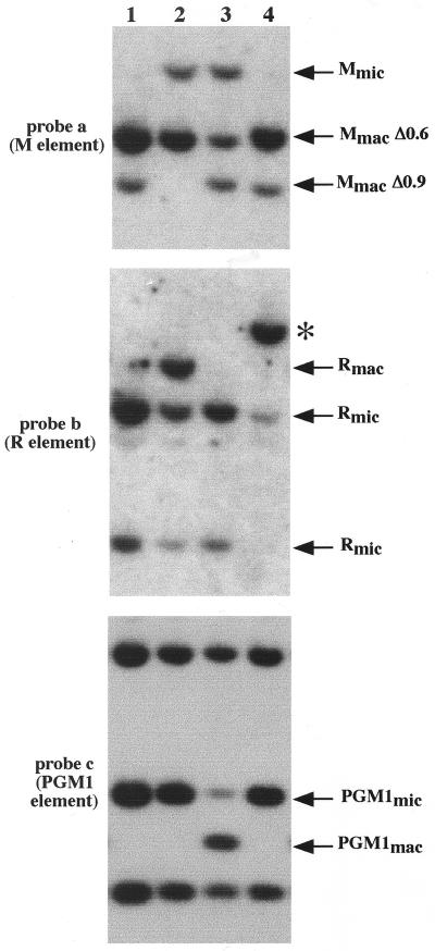 FIG. 5.