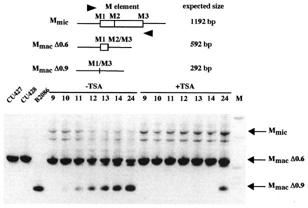 FIG. 7.