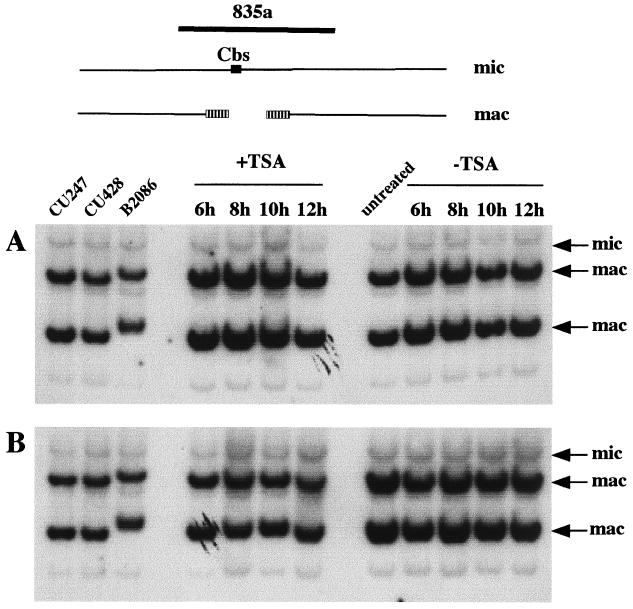 FIG. 6.