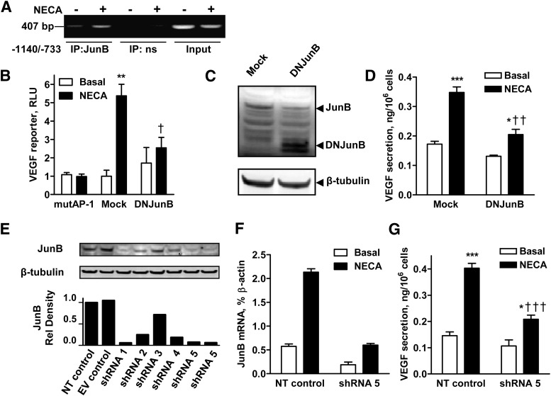 Fig. 8.