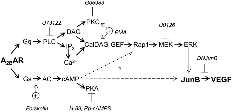 Fig. 9.