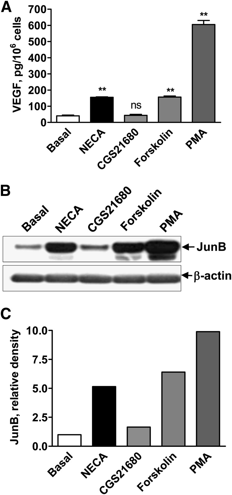 Fig. 4.