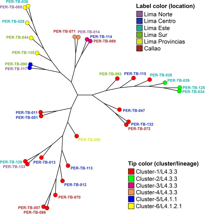 Fig 2