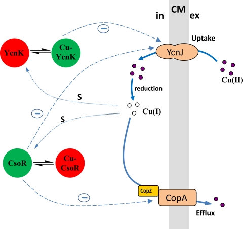 FIG. 6.