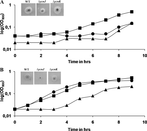 FIG. 1.