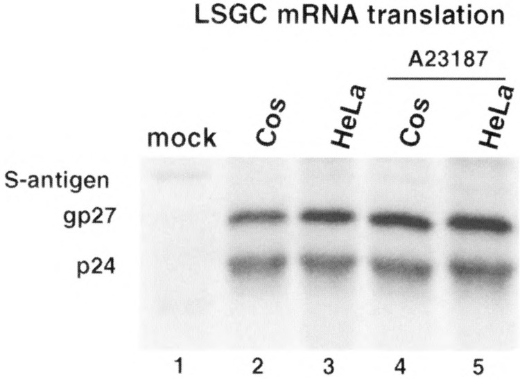 FIG. 4