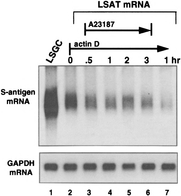 FIG. 6