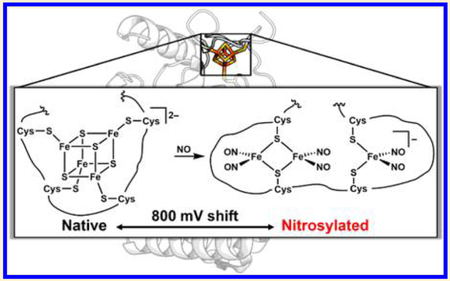 graphic file with name nihms-989219-f0001.jpg