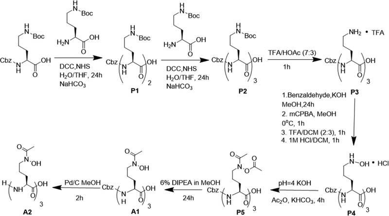 Scheme 3.