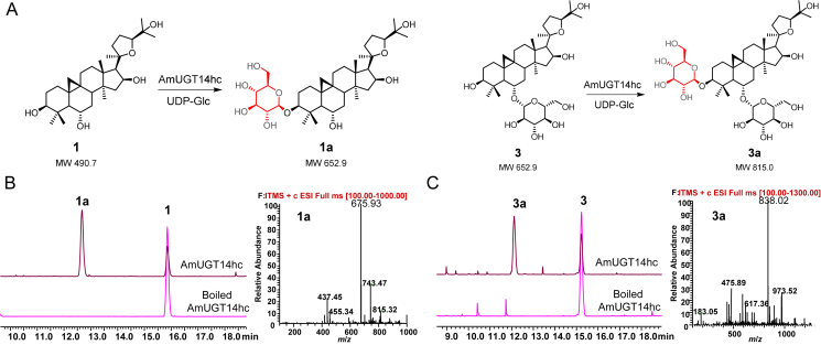 Figure 4