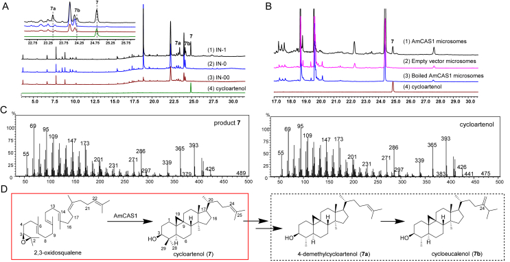 Figure 2