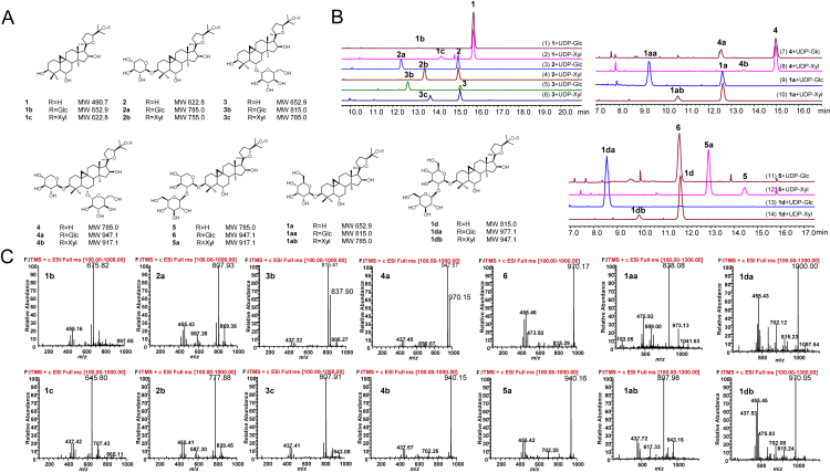 Figure 5