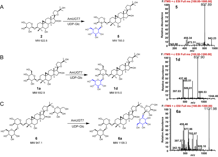 Figure 6