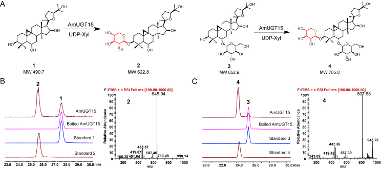 Figure 3