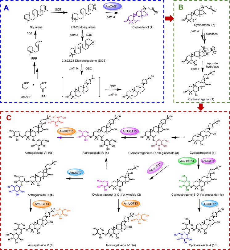 Figure 7