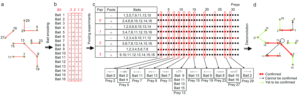 A pooling-deconvolution strategy for biological network elucidation.