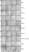 Fig. 8.