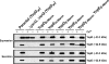 Fig. 9.