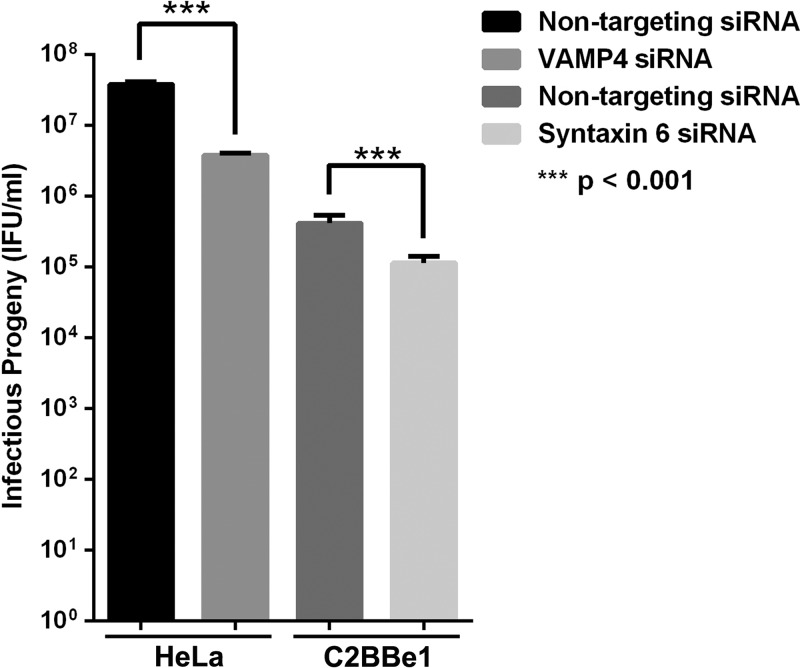 Fig 6