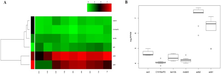 Fig 1