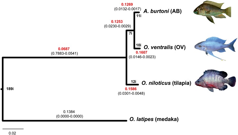 FIG. 2.—