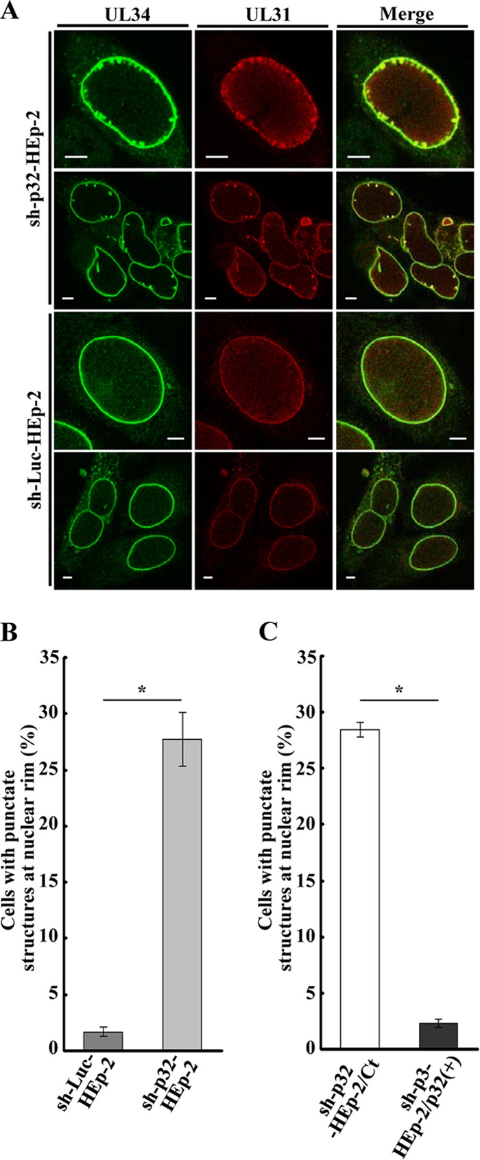 FIG 12