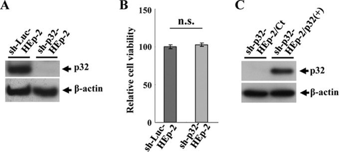 FIG 10