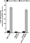 FIG 13