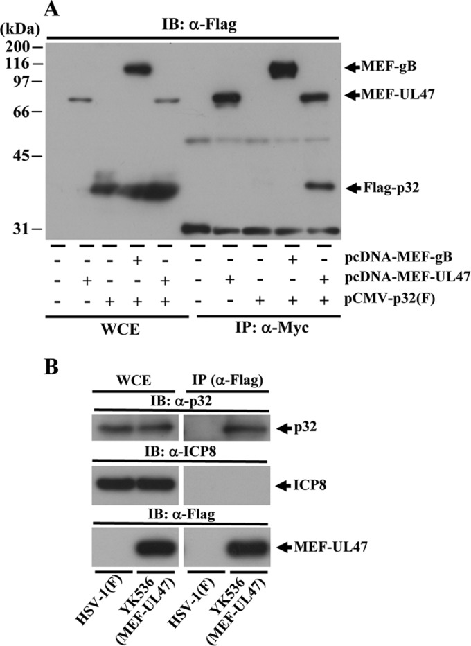 FIG 3