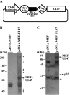 FIG 2