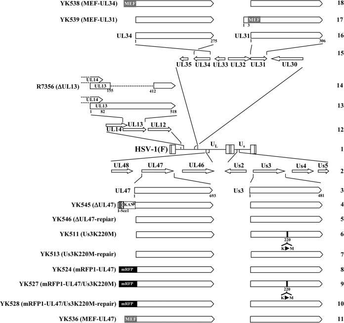 FIG 1