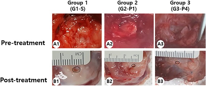 Fig. 2.