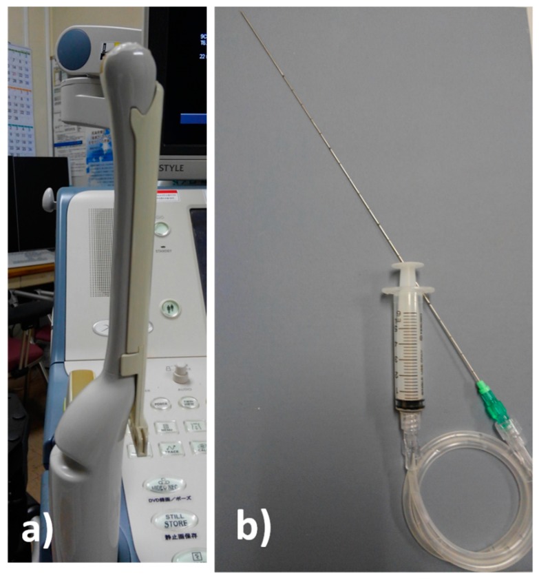 Ultrasound-Guided Needle Aspiration of Peritonsillar Abscesses: Utility ...