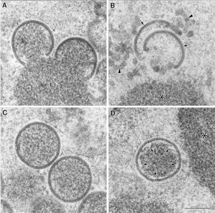 FIG. 7