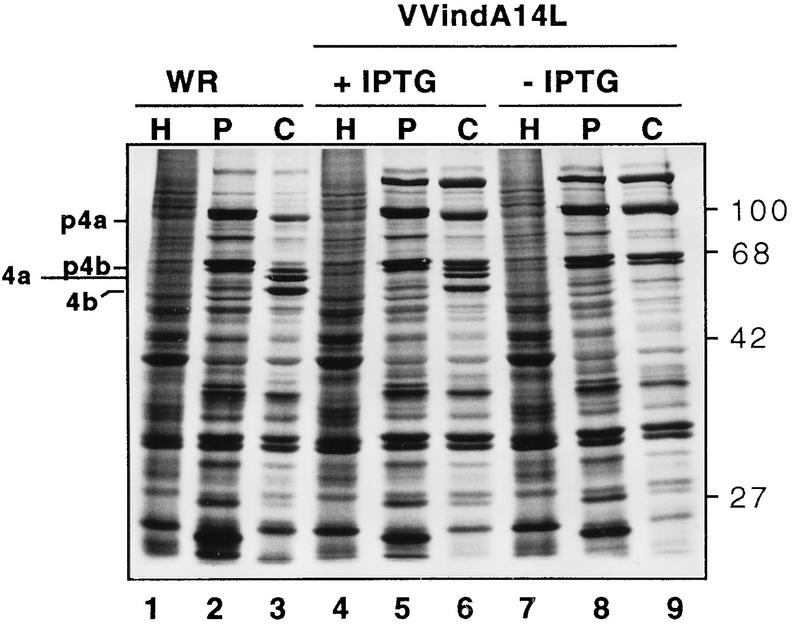 FIG. 4