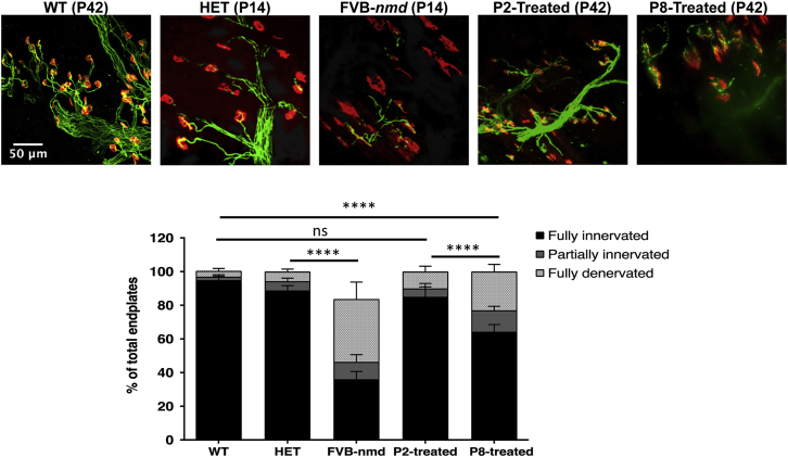 Figure 4