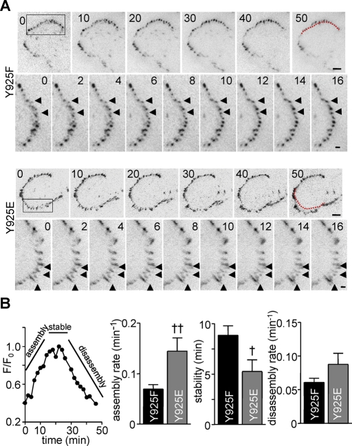 FIGURE 6: