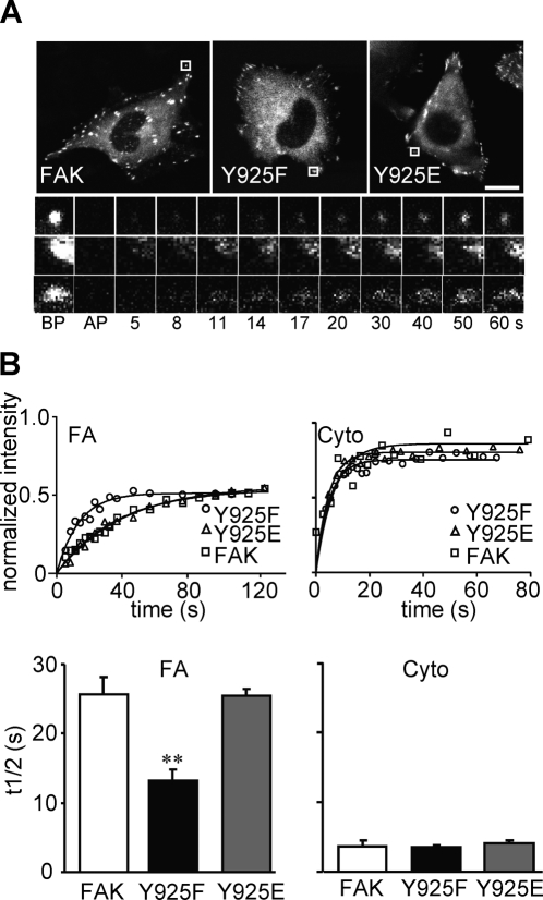 FIGURE 3: