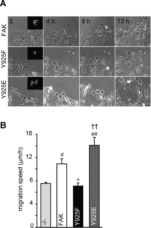 FIGURE 2: