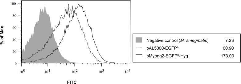 Fig 5