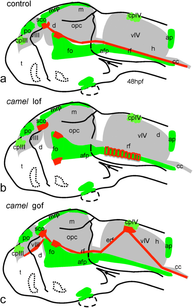 Fig. 12