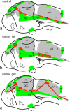 Fig. 12
