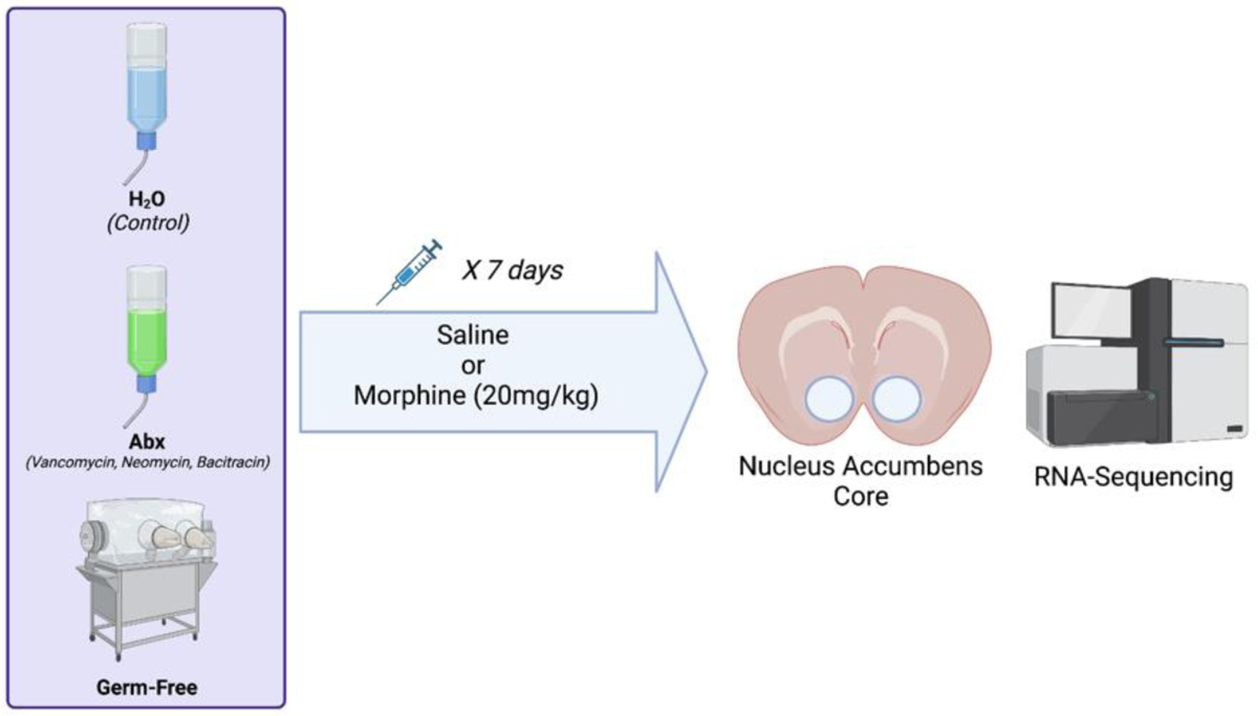 Figure 1 –