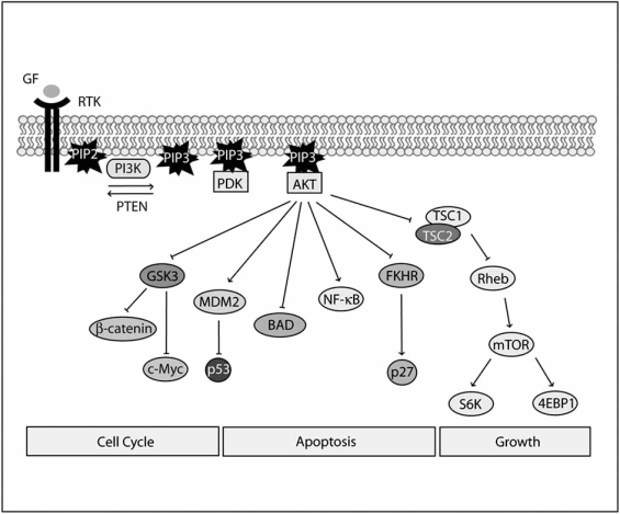 Fig. (1).