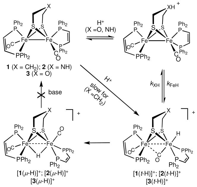 Scheme 1